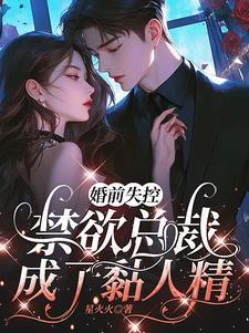 禁欲总裁成了黏人精有叶佳楠的