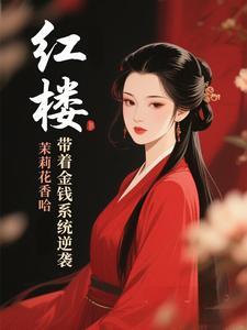 带着系统去红楼飞卢