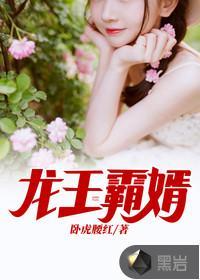 龙王霸婿2