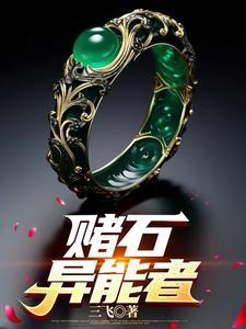异能赌石公盘