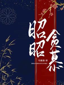 昭昭作品