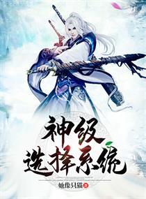 神级选择系统TXT