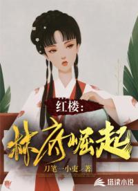 穿越红楼林府小妾