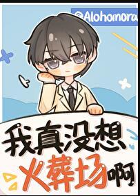我真没想红txt