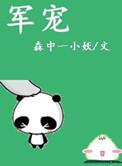 军宠军旅高干作者森中一小妖