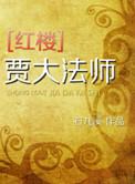 红楼贾大老爷