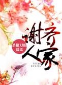 谢齐人家结局解析