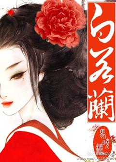 贵女白若兰讲了什么