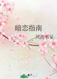 暗恋指南好看吗