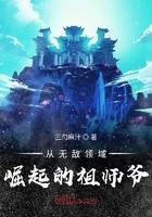 从无敌领域开始崛起