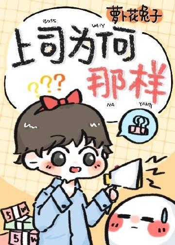 上司为何那样简介